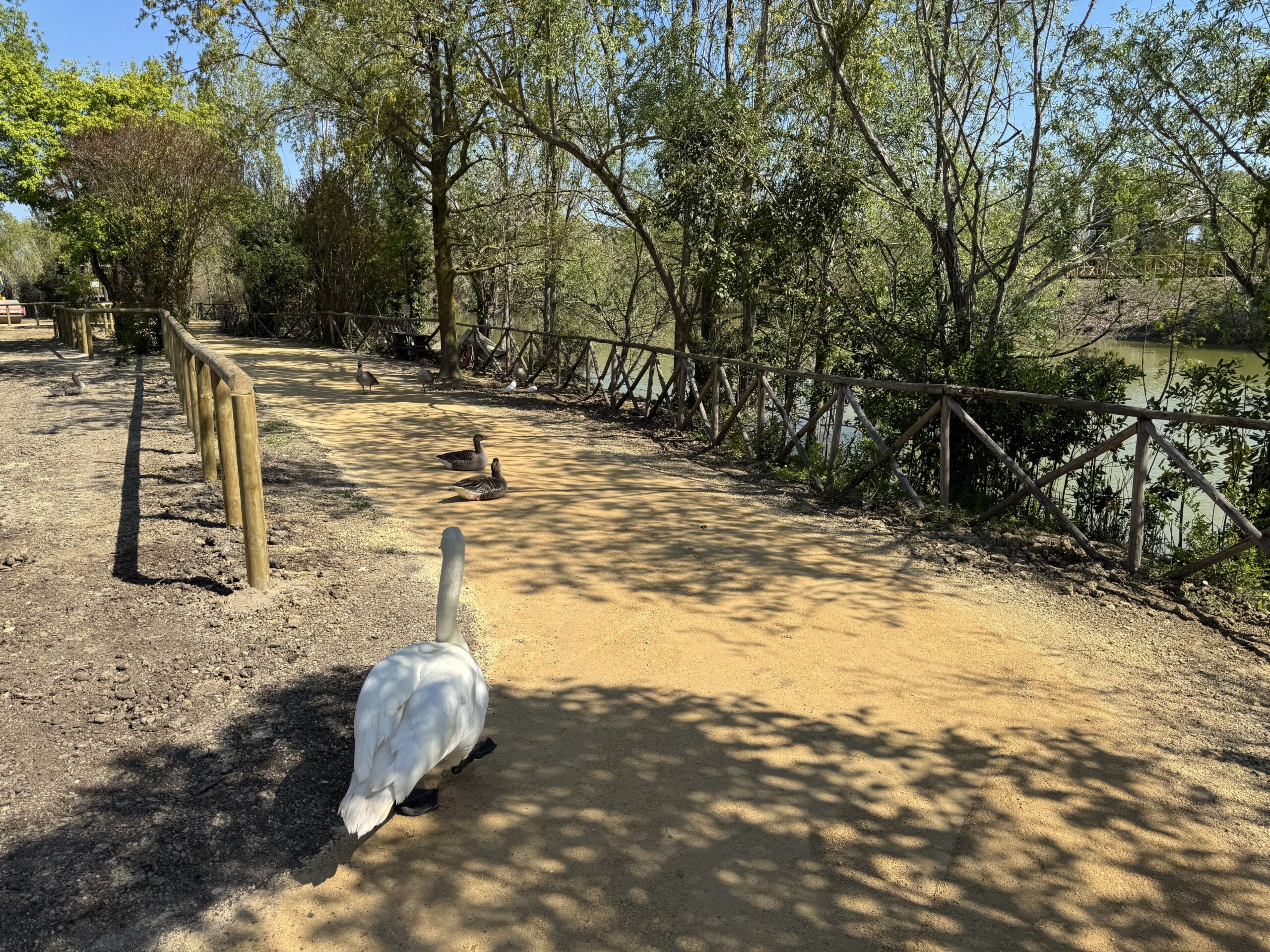 terra stabilizzata greenways (17)