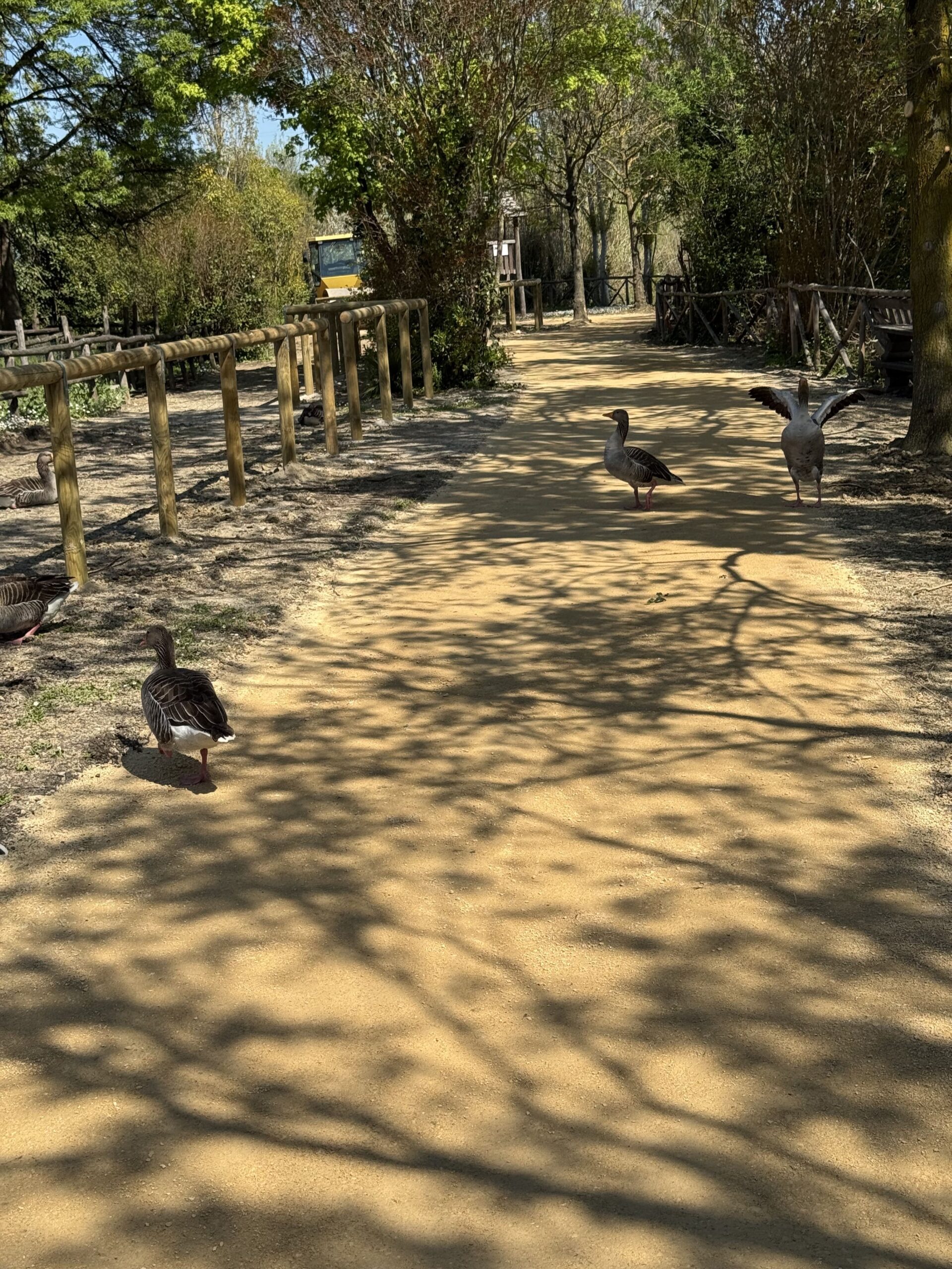 terra stabilizzata greenways (18)