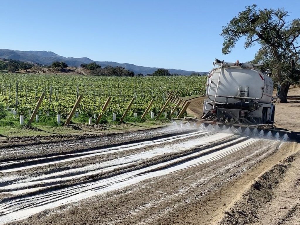 Strada stabilizzata tra i filari di un vigneto